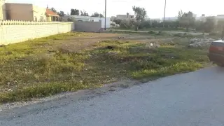 Land for sale in Dahiyat Al-Jamaa – photo 2