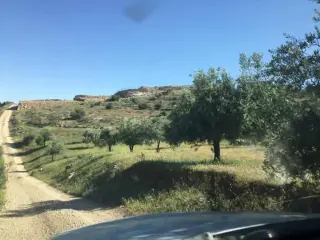 Land for sale in Al-Daqusma – photo 3