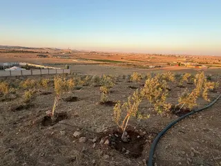 أرض للبيع في Znaya – صورة 5