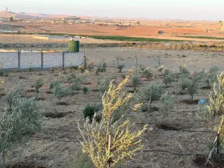 أرض للبيع في Znaya – صورة 6