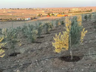 أرض للبيع في Znaya – صورة 8
