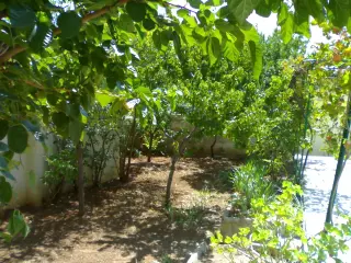 Villa for rent in Al Weibdeh – photo 8