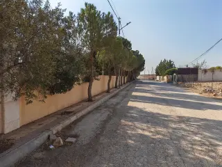 Land for sale in Other – photo 10