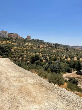 Land for sale in Other – photo 4