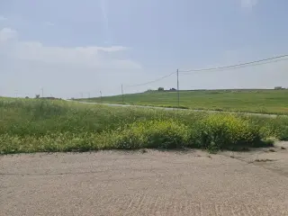 Land for sale in Al Lubban – photo 3