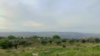 Land for sale in Bilal – photo 2