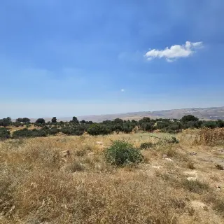 Land for sale in Bilal – photo 5