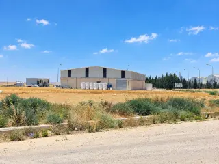 Land for sale in Al-Quneitirah – photo 7