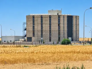 Land for sale in Al-Quneitirah – photo 5