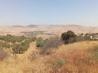 Land for sale in Al-Alouk – photo 12