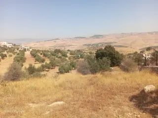 Land for sale in Al-Alouk – photo 11
