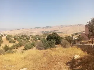 Land for sale in Al-Alouk – photo 7