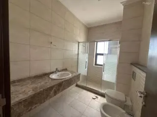 الصورة 11 من 12