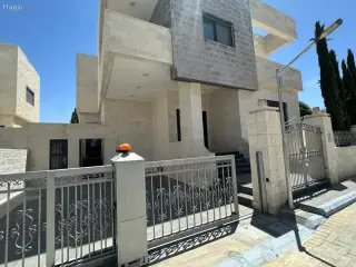 الصورة 1 من 12