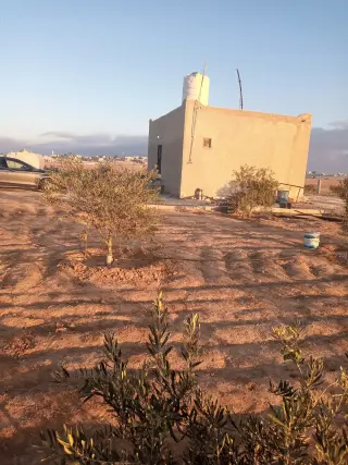 Land for sale in Other – photo 13