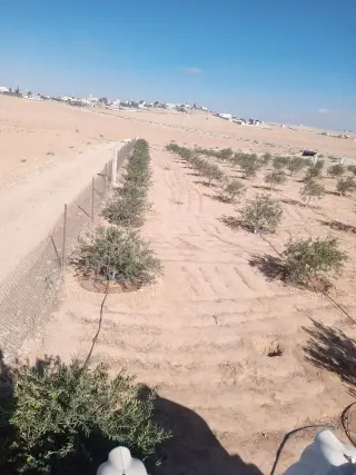 Land for sale in Other
