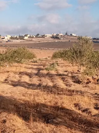 Land for sale in Other – photo 10