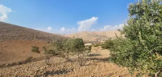 أرض للبيع في أخرى – صورة 7