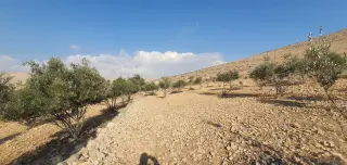 أرض للبيع في أخرى – صورة 5