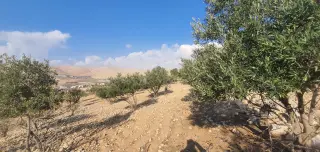 أرض للبيع في أخرى – صورة 3