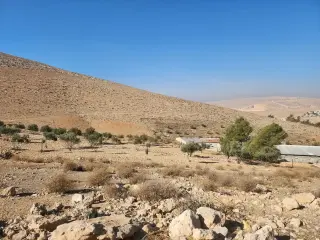 أرض للبيع في أخرى – صورة 2