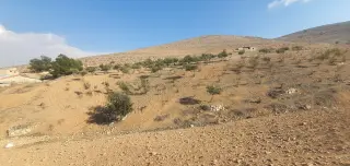 أرض للبيع في أخرى – صورة 11