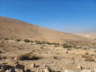 أرض للبيع في أخرى