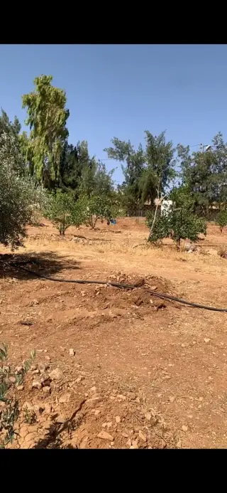 Land for sale in Hayyan Al Moshref – photo 5