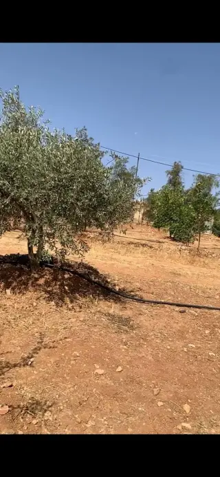 Land for sale in Hayyan Al Moshref – photo 7