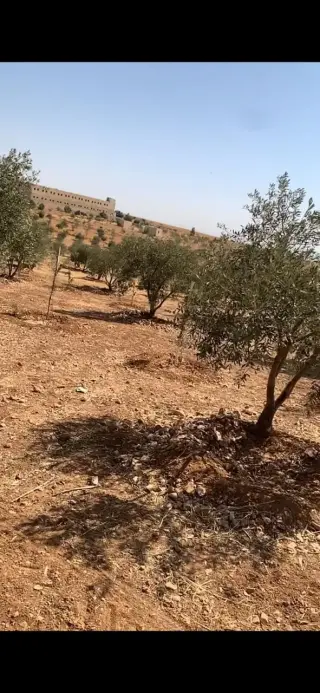 Land for sale in Hayyan Al Moshref – photo 2