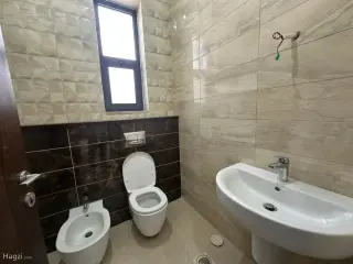 الصورة 7 من 12