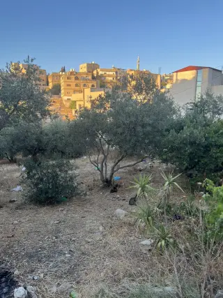 Land for sale in Al Barha