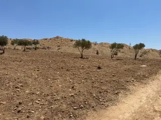 أرض للبيع في أخرى