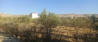Land for sale in Ein Al-Basha – photo 6