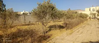 Land for sale in Ein Al-Basha – photo 2