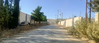 Land for sale in Ein Al-Basha – photo 4