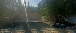 Land for sale in Ein Al-Basha – photo 7
