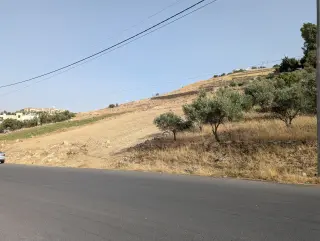Land for sale in Shafa Al-Amriya – photo 3