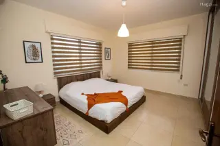 الصورة 5 من 12