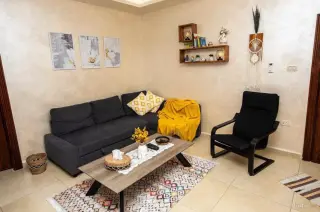 الصورة 12 من 12