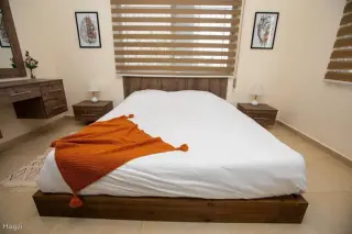 الصورة 6 من 12