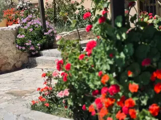 Apartment for rent in Petra – photo 8