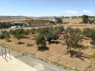 Villa for sale in Al-Ayes – photo 4