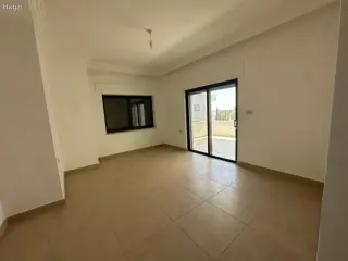 الصورة 12 من 12