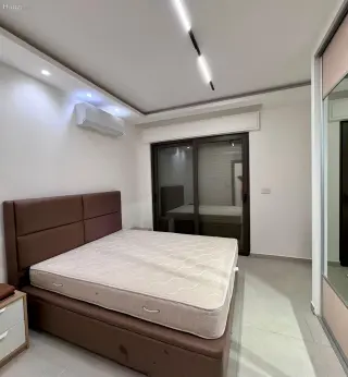 الصورة 11 من 12