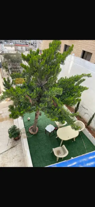 Apartment for sale in Sports City Road – photo 5