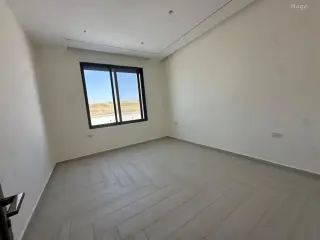 الصورة 11 من 12