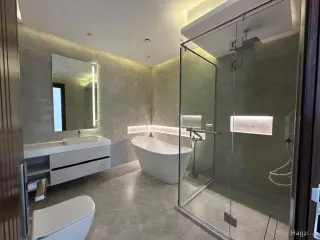 الصورة 1 من 12