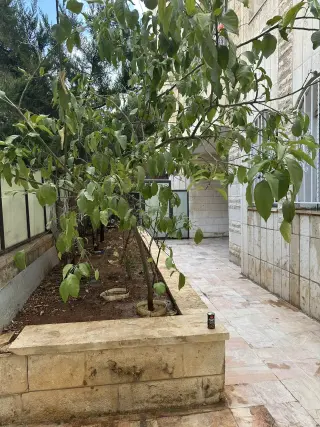 Apartment for sale in Jabal Al Hussain – photo 4