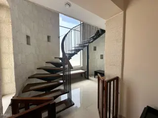 الصورة 5 من 12